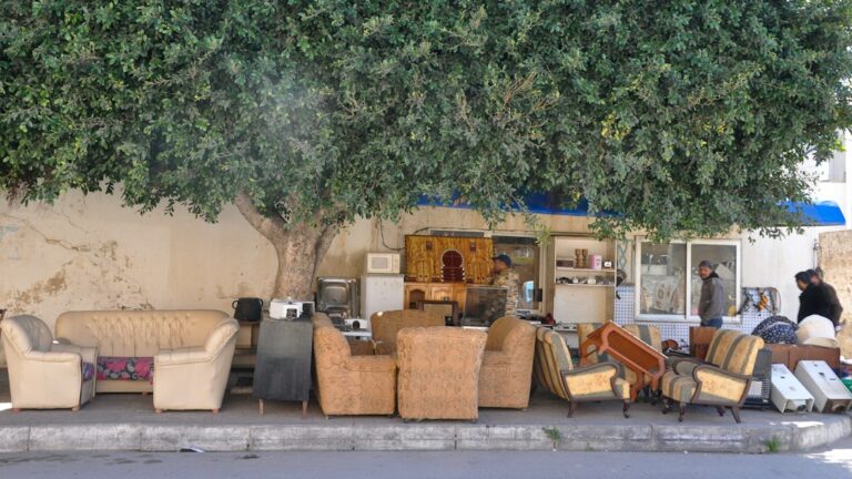 How to Choose the Perfect Sofa for Your Living Space