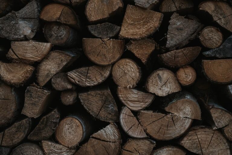 Creating a Cozy Atmosphere with Timber Beside Tides Products